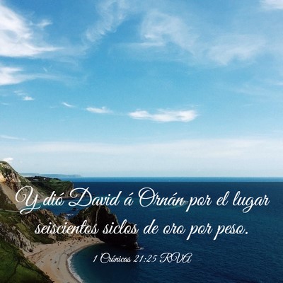 Picture 03 - 1 Crónicas 21:25 RVA - Y dió David á Ornán por el lugar seiscientos - Bible Verse Picture