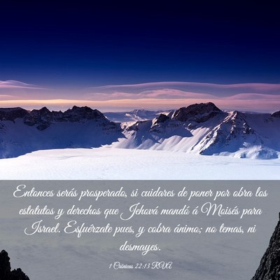 Picture 03 - 1 Crónicas 22:13 RVA - Entonces serás prosperado, si cuidares de poner - Bible Verse Picture