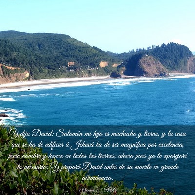 Picture 03 - 1 Crónicas 22:5 RVA - Y dijo David: Salomón mi hijo es muchacho y - Bible Verse Picture