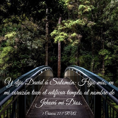 Picture 03 - 1 Crónicas 22:7 RVA - Y dijo David á Salomón: Hijo mío, en mi - Bible Verse Picture