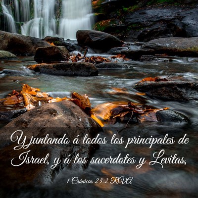 Picture 03 - 1 Crónicas 23:2 RVA - Y juntando á todos los principales de Israel, y - Bible Verse Picture