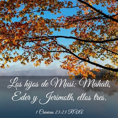 Picture 03 - 1 Crónicas 23:23 RVA - Los hijos de Musi: Mahali, Eder y Jerimoth, ellos - Bible Verse Picture