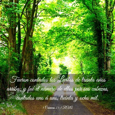 Picture 03 - 1 Crónicas 23:3 RVA - Fueron contados los Levitas de treinta años - Bible Verse Picture