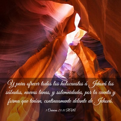 Picture 03 - 1 Crónicas 23:31 RVA - Y para ofrecer todos los holocaustos á Jehová - Bible Verse Picture