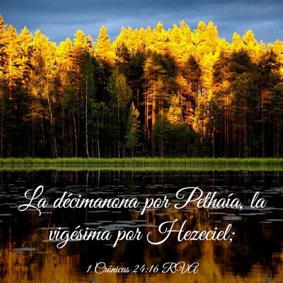 Picture 03 - 1 Crónicas 24:16 RVA - La décimanona por Pethaía, la vigésima por - Bible Verse Picture