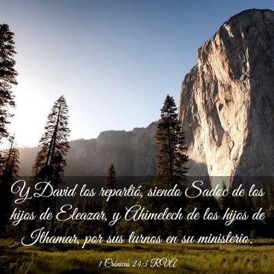 Picture 03 - 1 Crónicas 24:3 RVA - Y David los repartió, siendo Sadoc de los hijos - Bible Verse Picture