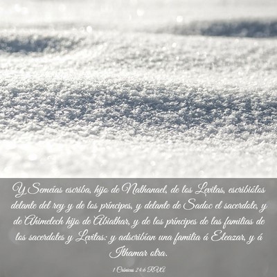 Picture 03 - 1 Crónicas 24:6 RVA - Y Semeías escriba, hijo de Nathanael, de los - Bible Verse Picture