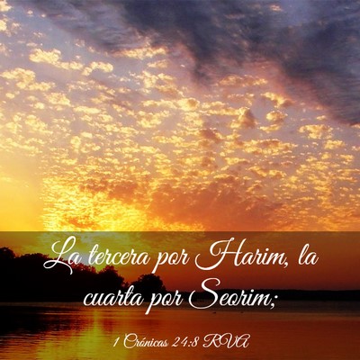Picture 03 - 1 Crónicas 24:8 RVA - La tercera por Harim, la cuarta por - Bible Verse Picture