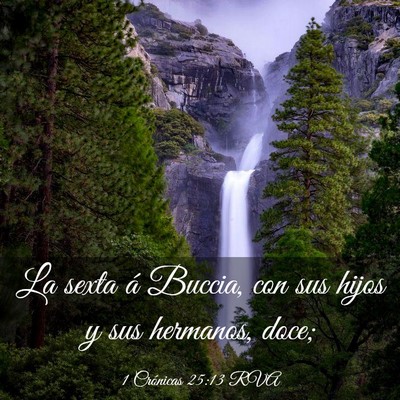 Picture 03 - 1 Crónicas 25:13 RVA - La sexta á Buccia, con sus hijos y sus hermanos, - Bible Verse Picture