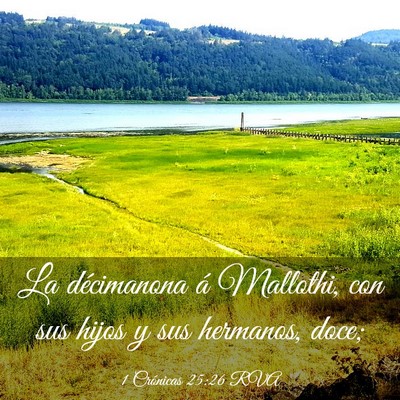 Picture 03 - 1 Crónicas 25:26 RVA - La décimanona á Mallothi, con sus hijos y sus - Bible Verse Picture