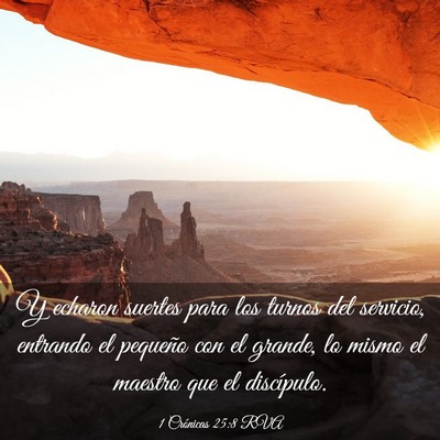 Picture 03 - 1 Crónicas 25:8 RVA - Y echaron suertes para los turnos del servicio, - Bible Verse Picture