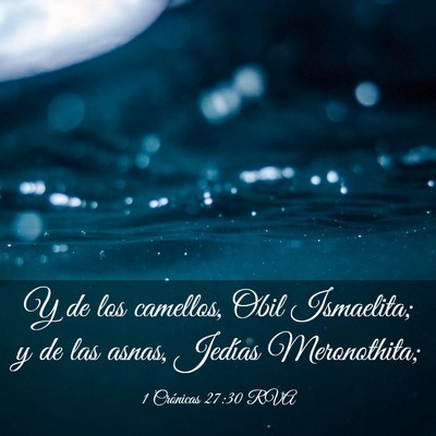 Picture 03 - 1 Crónicas 27:30 RVA - Y de los camellos, Obil Ismaelita; y de las - Bible Verse Picture
