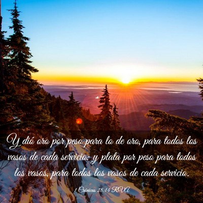 Picture 03 - 1 Crónicas 28:14 RVA - Y dió oro por peso para lo de oro, para todos - Bible Verse Picture