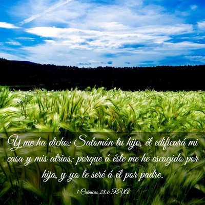 Picture 03 - 1 Crónicas 28:6 RVA - Y me ha dicho: Salomón tu hijo, él edificará - Bible Verse Picture