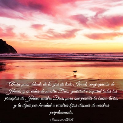 Picture 03 - 1 Crónicas 28:8 RVA - Ahora pues, delante de lo ojos de todo Israel, - Bible Verse Picture