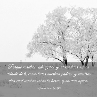 Picture 03 - 1 Crónicas 29:15 RVA - Porque nosotros, extranjeros y advenedizos somos - Bible Verse Picture