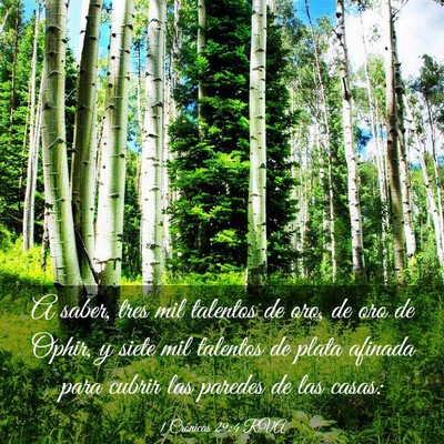 Picture 03 - 1 Crónicas 29:4 RVA - A saber, tres mil talentos de oro, de oro de - Bible Verse Picture