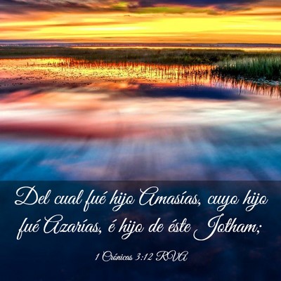 Picture 03 - 1 Crónicas 3:12 RVA - Del cual fué hijo Amasías, cuyo hijo fué - Bible Verse Picture