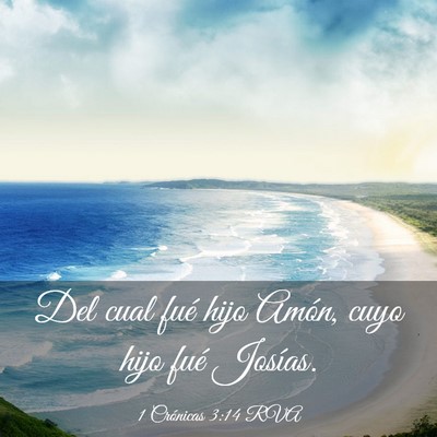 Picture 03 - 1 Crónicas 3:14 RVA - Del cual fué hijo Amón, cuyo hijo fué - Bible Verse Picture