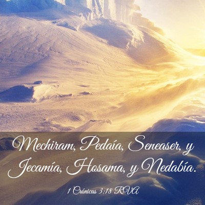 Picture 03 - 1 Crónicas 3:18 RVA - Mechiram, Pedaía, Seneaser, y Jecamía, Hosama, - Bible Verse Picture
