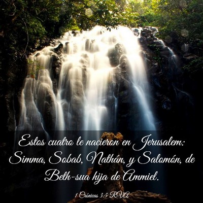 Picture 03 - 1 Crónicas 3:5 RVA - Estos cuatro le nacieron en Jerusalem: Simma, - Bible Verse Picture