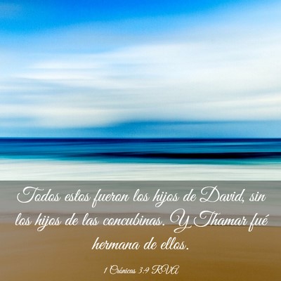 Picture 03 - 1 Crónicas 3:9 RVA - Todos estos fueron los hijos de David, sin los - Bible Verse Picture