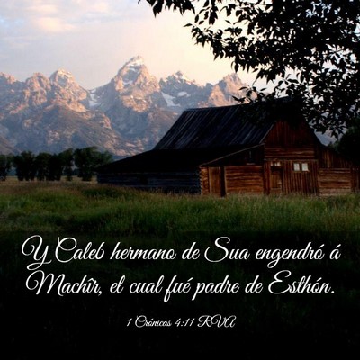 Picture 03 - 1 Crónicas 4:11 RVA - Y Caleb hermano de Sua engendró á Machîr, el - Bible Verse Picture