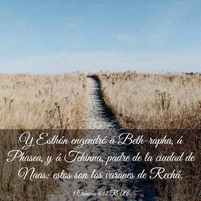 Picture 03 - 1 Crónicas 4:12 RVA - Y Esthón engendró á Beth-rapha, á Phasea, y - Bible Verse Picture
