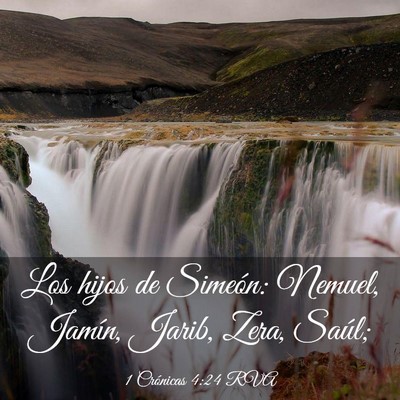 Picture 03 - 1 Crónicas 4:24 RVA - Los hijos de Simeón: Nemuel, Jamín, Jarib, - Bible Verse Picture