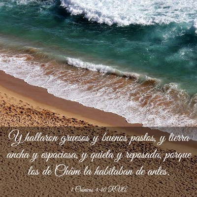 Picture 03 - 1 Crónicas 4:40 RVA - Y hallaron gruesos y buenos pastos, y tierra - Bible Verse Picture