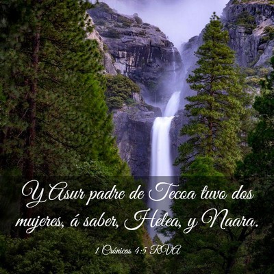 Picture 03 - 1 Crónicas 4:5 RVA - Y Asur padre de Tecoa tuvo dos mujeres, á saber, - Bible Verse Picture