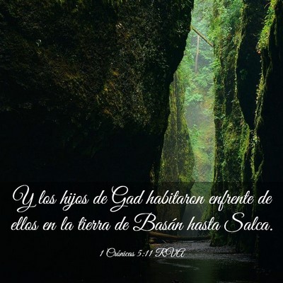 Picture 03 - 1 Crónicas 5:11 RVA - Y los hijos de Gad habitaron enfrente de ellos en - Bible Verse Picture