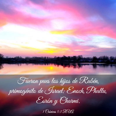 Picture 03 - 1 Crónicas 5:3 RVA - Fueron pues los hijos de Rubén, primogénito de - Bible Verse Picture