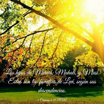 Picture 03 - 1 Crónicas 6:19 RVA - Los hijos de Merari: Mahali, y Musi. Estas son - Bible Verse Picture