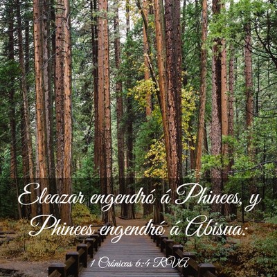 Picture 03 - 1 Crónicas 6:4 RVA - Eleazar engendró á Phinees, y Phinees engendró - Bible Verse Picture
