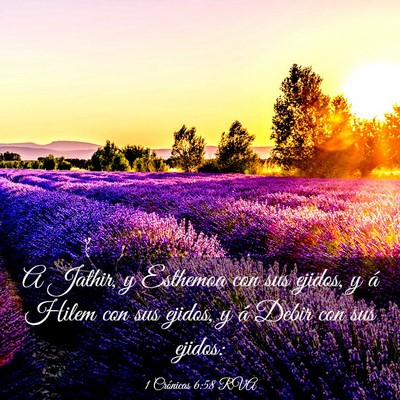 Picture 03 - 1 Crónicas 6:58 RVA - A Jathir, y Esthemoa con sus ejidos, y á Hilem - Bible Verse Picture