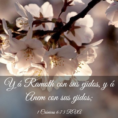 Picture 03 - 1 Crónicas 6:73 RVA - Y á Ramoth con sus ejidos, y á Anem con sus - Bible Verse Picture