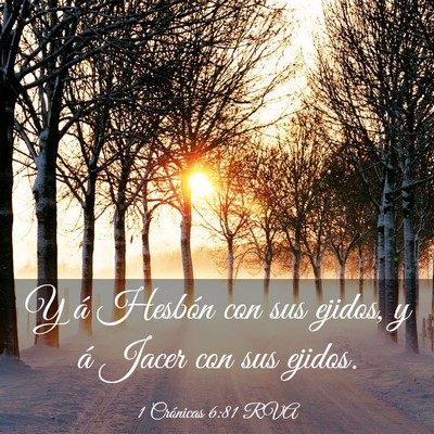 Picture 03 - 1 Crónicas 6:81 RVA - Y á Hesbón con sus ejidos, y á Jacer con sus - Bible Verse Picture