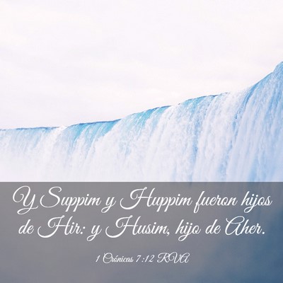 Picture 03 - 1 Crónicas 7:12 RVA - Y Suppim y Huppim fueron hijos de Hir: y Husim, - Bible Verse Picture