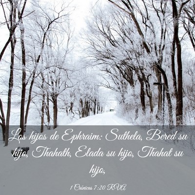 Picture 03 - 1 Crónicas 7:20 RVA - Los hijos de Ephraim: Suthela, Bered su hijo, - Bible Verse Picture