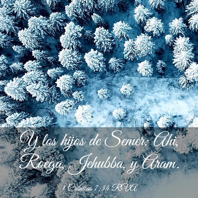 Picture 03 - 1 Crónicas 7:34 RVA - Y los hijos de Semer: Ahi, Roega, Jehubba, y - Bible Verse Picture