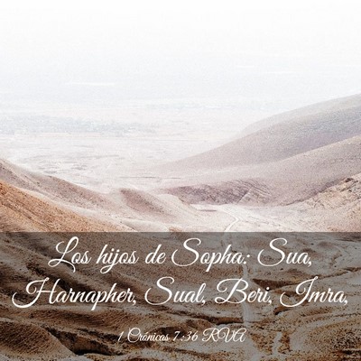 Picture 03 - 1 Crónicas 7:36 RVA - Los hijos de Sopha: Sua, Harnapher, Sual, Beri, - Bible Verse Picture