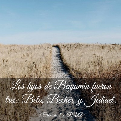 Picture 03 - 1 Crónicas 7:6 RVA - Los hijos de Benjamín fueron tres: Bela, - Bible Verse Picture