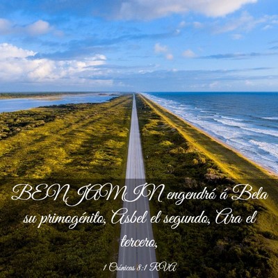 Picture 03 - 1 Crónicas 8:1 RVA - BENJAMIN engendró á Bela su primogénito, Asbel - Bible Verse Picture