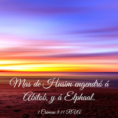 Picture 03 - 1 Crónicas 8:11 RVA - Mas de Husim engendró á Abitob, y á - Bible Verse Picture