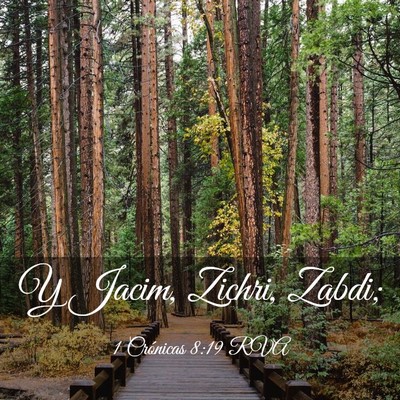 Picture 03 - 1 Crónicas 8:19 RVA - Y Jacim, Zichri, - Bible Verse Picture