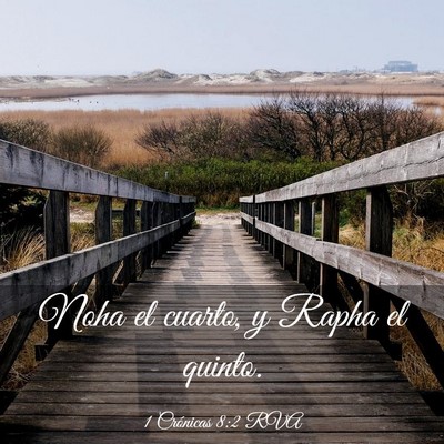 Picture 03 - 1 Crónicas 8:2 RVA - Noha el cuarto, y Rapha el - Bible Verse Picture