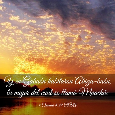 Picture 03 - 1 Crónicas 8:29 RVA - Y en Gabaón habitaron Abiga-baón, la mujer del - Bible Verse Picture