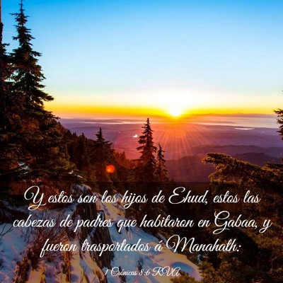 Picture 03 - 1 Crónicas 8:6 RVA - Y estos son los hijos de Ehud, estos las cabezas - Bible Verse Picture