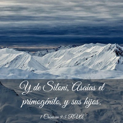Picture 03 - 1 Crónicas 9:5 RVA - Y de Siloni, Asaías el primogénito, y sus - Bible Verse Picture